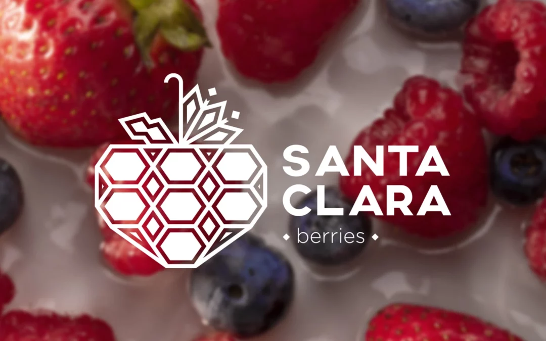 Santa Clara Berries. Diseño de Marca